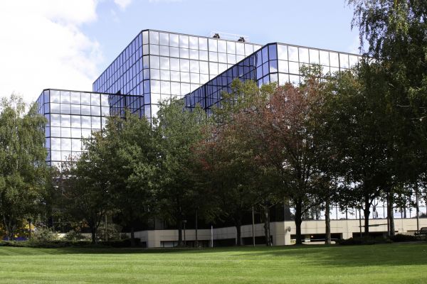 Commercial Tree Trimming in Sun Prairie
