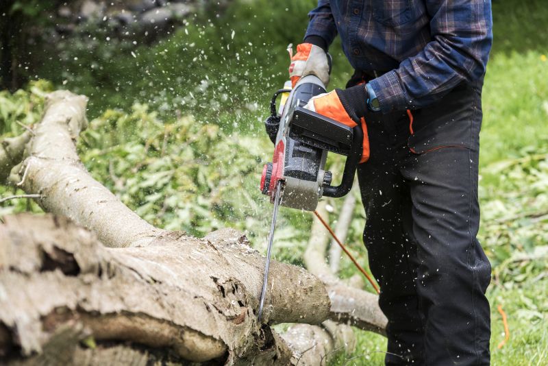 Chainsaw Cutting Fallen Tree